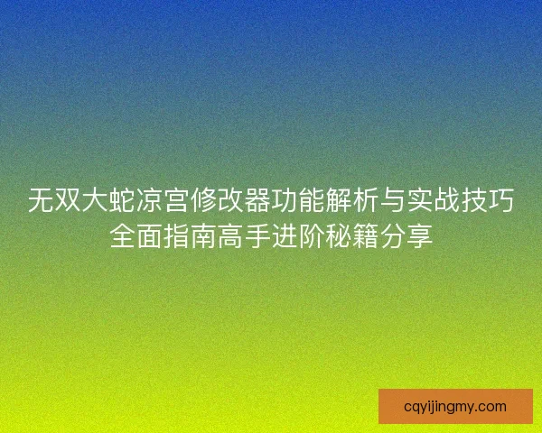 无双大蛇凉宫修改器功能解析与实战技巧全面指南高手进阶秘籍分享