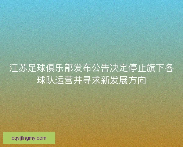 江苏足球俱乐部发布公告决定停止旗下各球队运营并寻求新发展方向