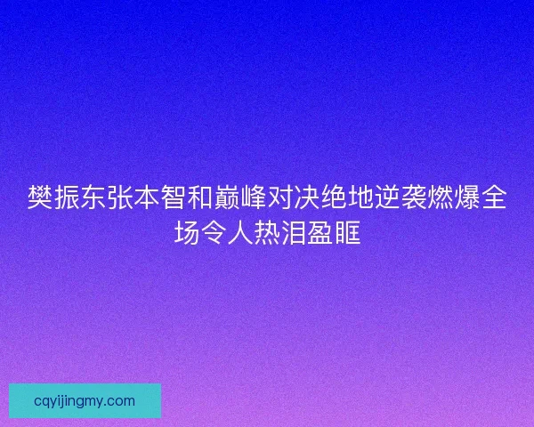 樊振东张本智和巅峰对决绝地逆袭燃爆全场令人热泪盈眶
